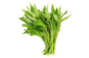 有机基地蔬菜—空心菜