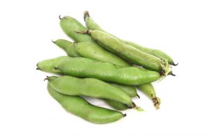 有机基地蔬菜—蚕豆（带壳）