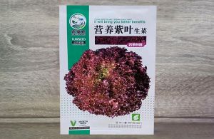 紫叶生菜