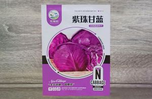 紫珠甘蓝