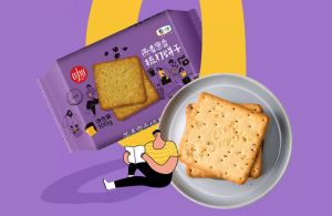 时怡燕麦香葱梳打饼干