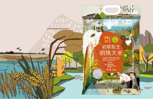 【惜食积福】初萃东北明珠大米