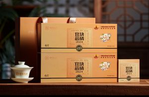 谭员外甄选中汝白•宜块芯情•白毛银霜（寿眉）