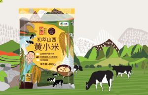 初萃黄小米