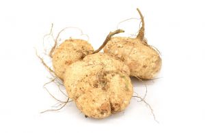 有机基地蔬菜—凉薯