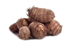 有机基地蔬菜—芋头