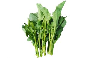 有机基地蔬菜—油菜苔