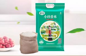 瑶珍小珍香米