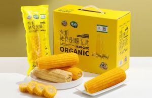 德伟有机鲜食甜糯黄玉米